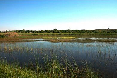 Gene Howe Wildlife Management Area